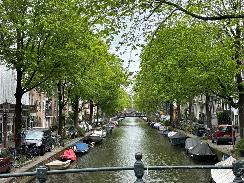 Canal paisible bordé d'arbres et de bateaux